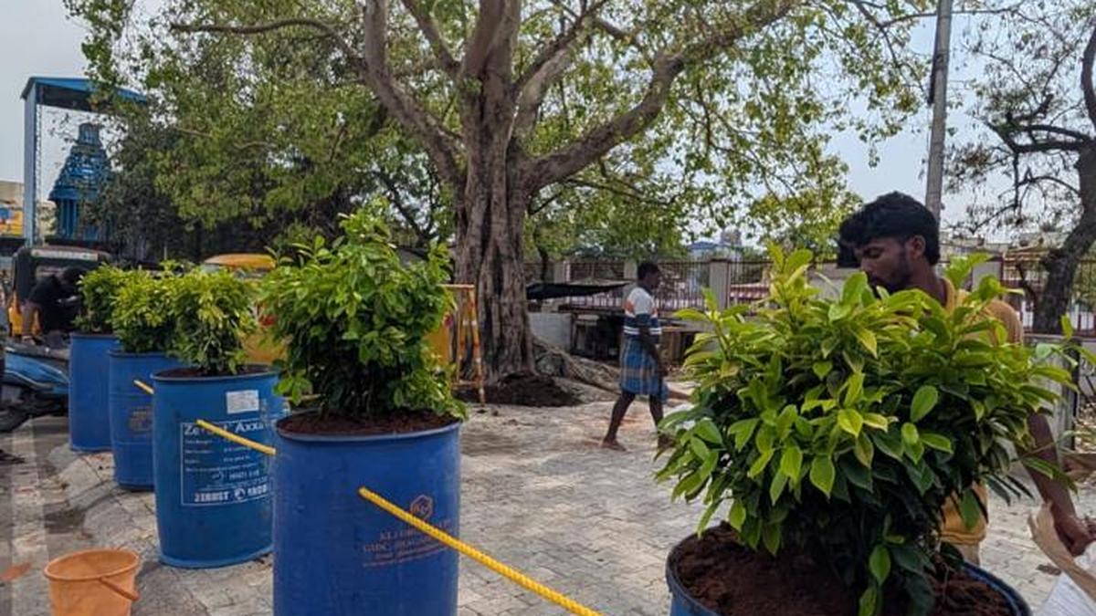 A ‘developing’ community story with  subplots in Chennai