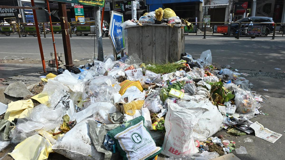 Tamil Nadu election 2026: Gaps in garbage disposal a key problem in Tiruppur North constituency