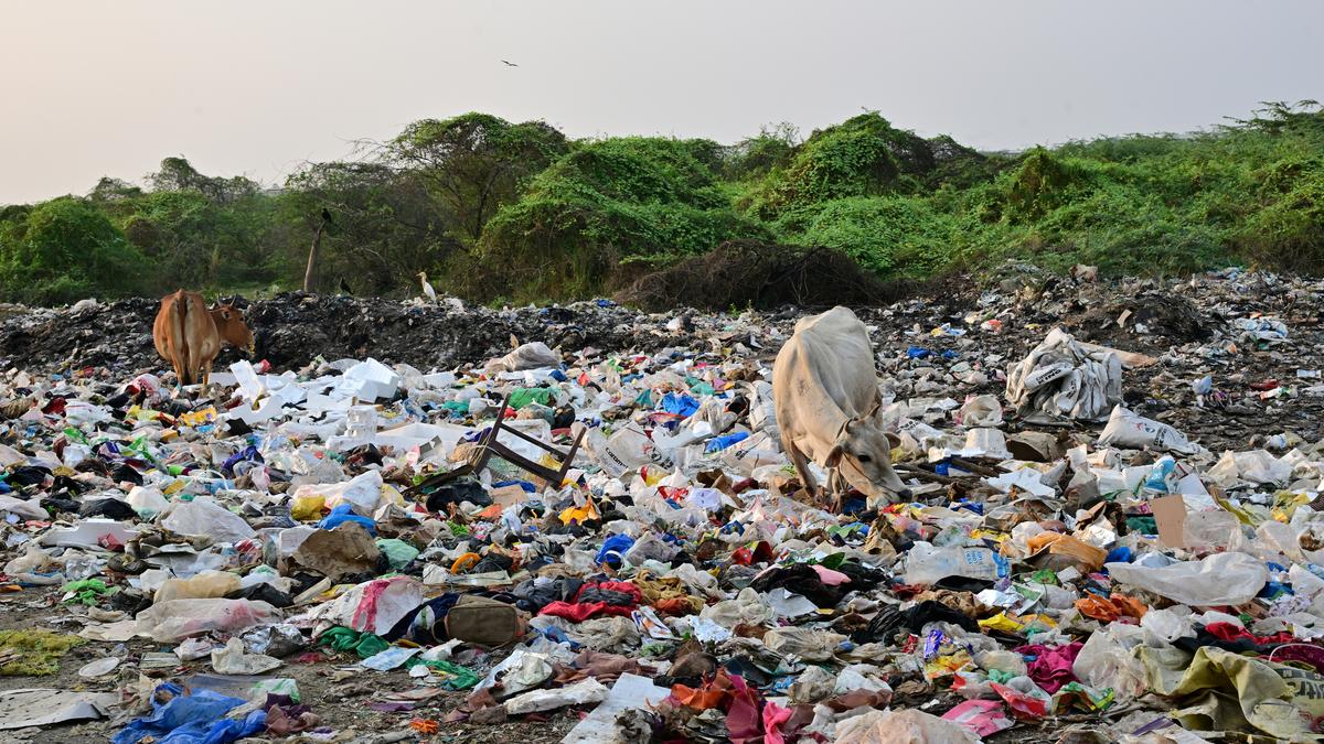 Removal of accumulated waste begins at Kolapakkam near Chennai airport