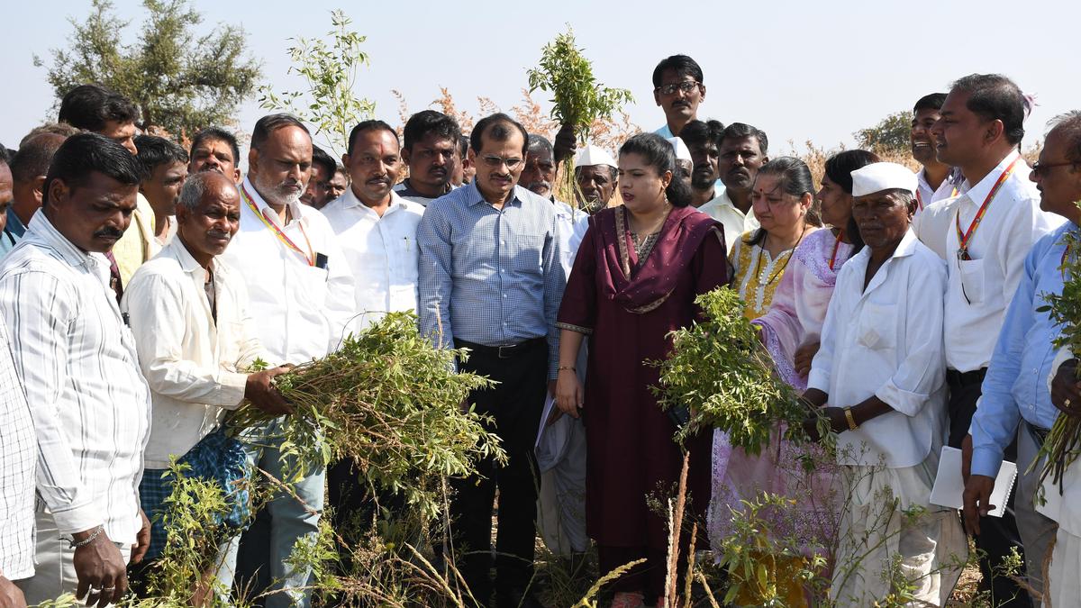 Central team reviews flood damage in Kamalapur of Kalaburagi district