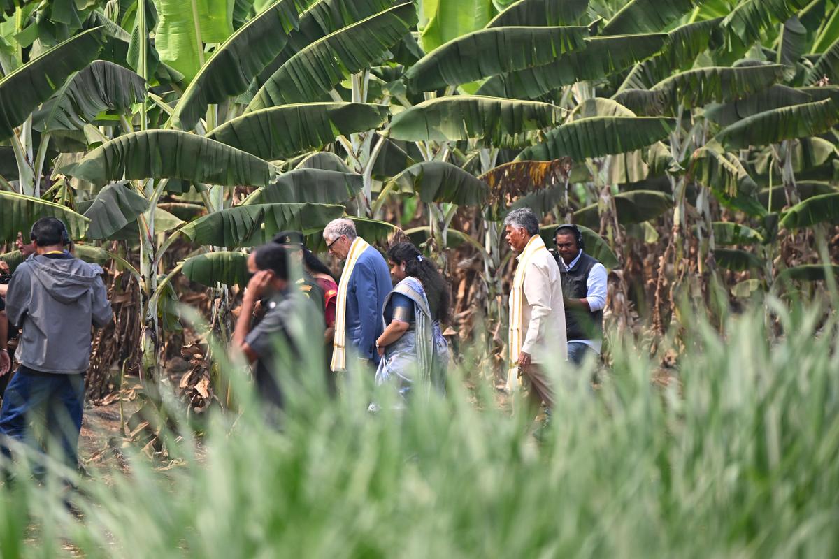 O ministro-chefe N. Chandrababu Naidu e o presidente da Fundação Gates, Bill Gates, visitaram um campo agrícola perto da vila de Undavalli, no distrito de Guntur, na segunda-feira, onde a agricultura natural está sendo praticada.