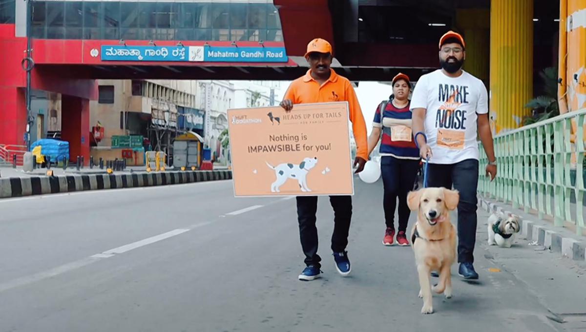 At the Dogathon walk on September 18, keep pace with your furry friends to  raise funds for animal welfare NGOs - The Hindu