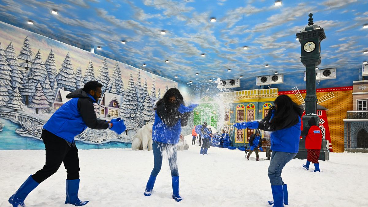 Visakhapatnam gets a snow-themed amusement park