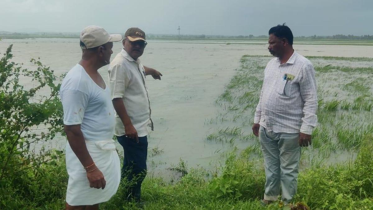 Montha cyclone: Srikakulam district suffers ₹1.24 crore loss