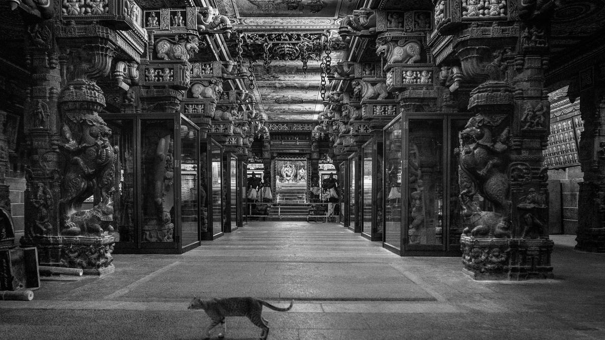 The art and sculptures of Perur temple: Coffee table book ‘Perura Pateesa’ presents an immersive experience of Coimbatore’s iconic Perur temple