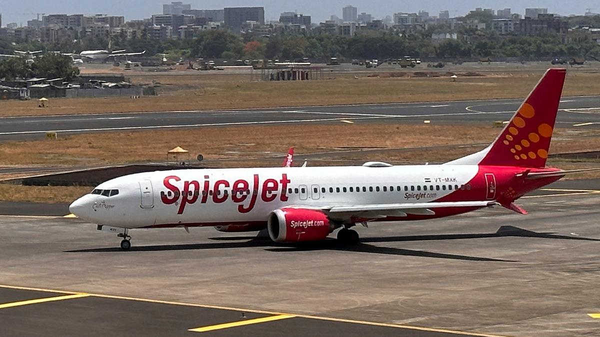 Leh-bound SpiceJet plane suffers bird hit; returns to Delhi