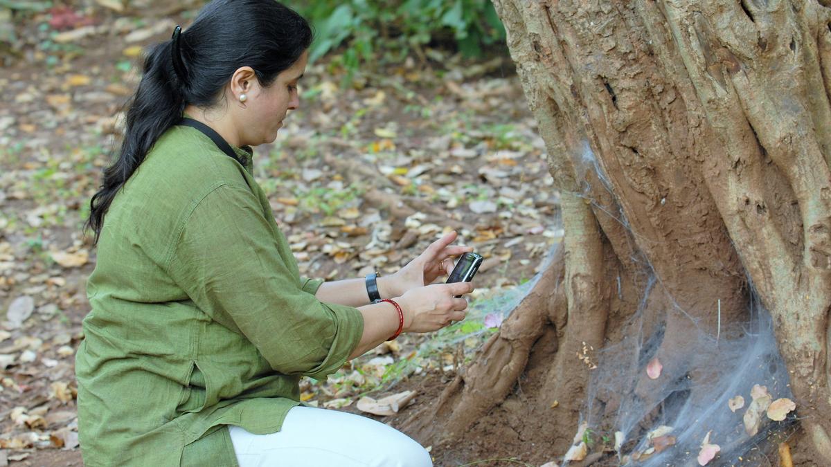 Farida Tampal, State Director of WWF-India, on her passion for conservation