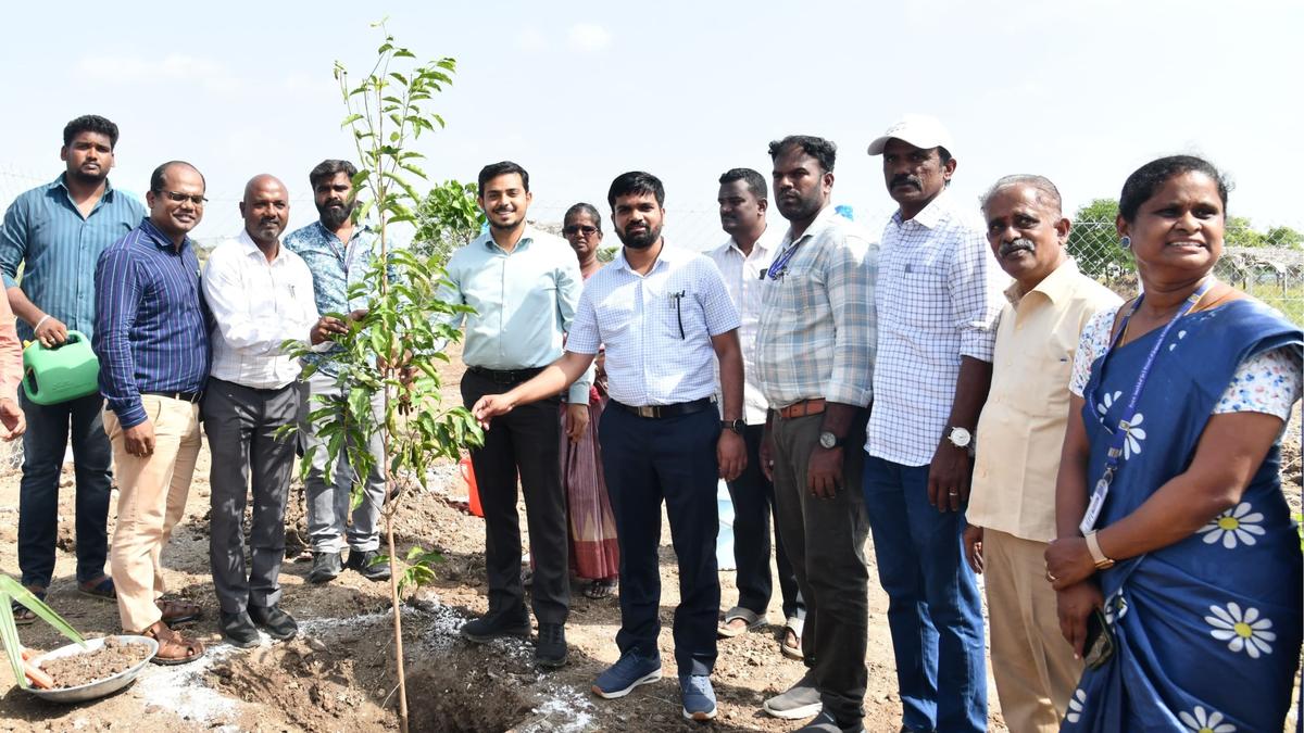 Awareness activities, greening drives mark World Environment Day