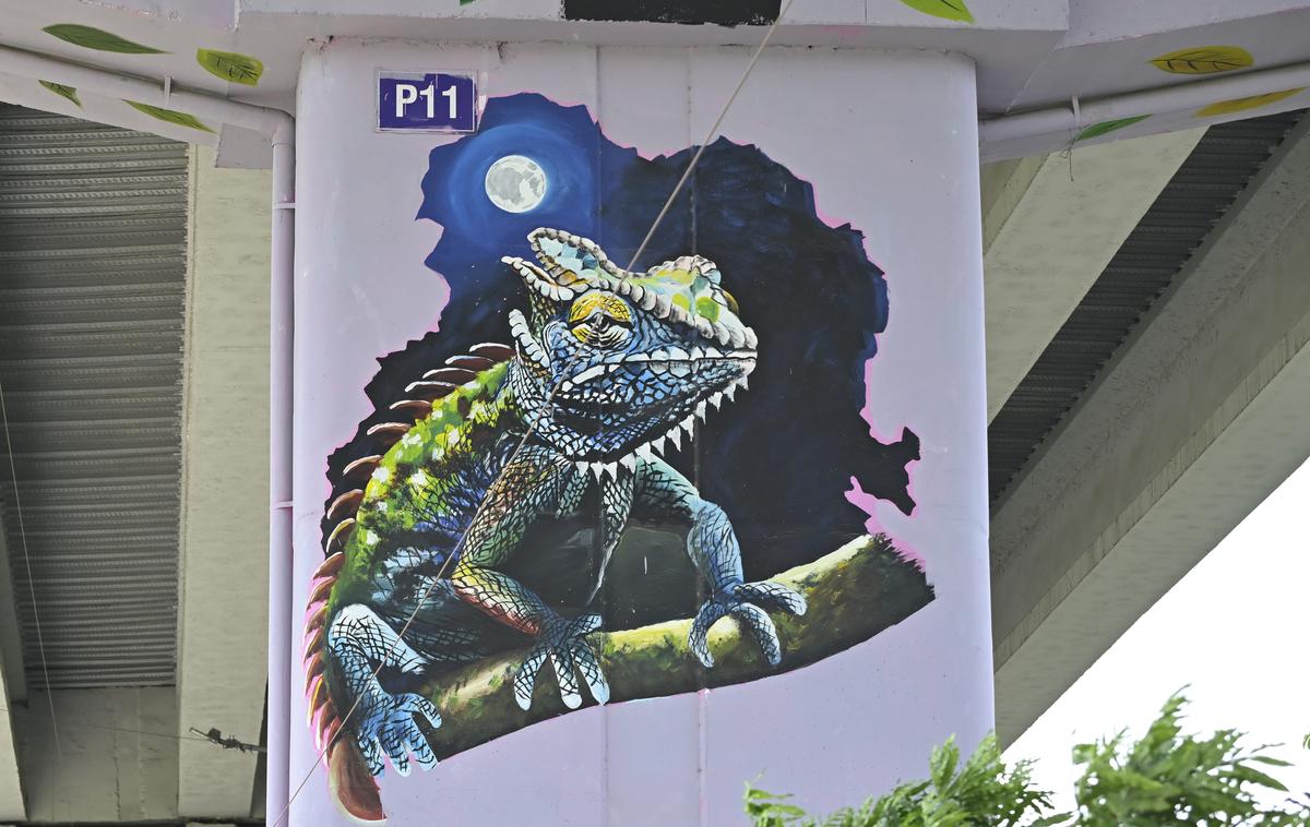 हैदराबाद में जुबली हिल्स फ्लाईओवर में 