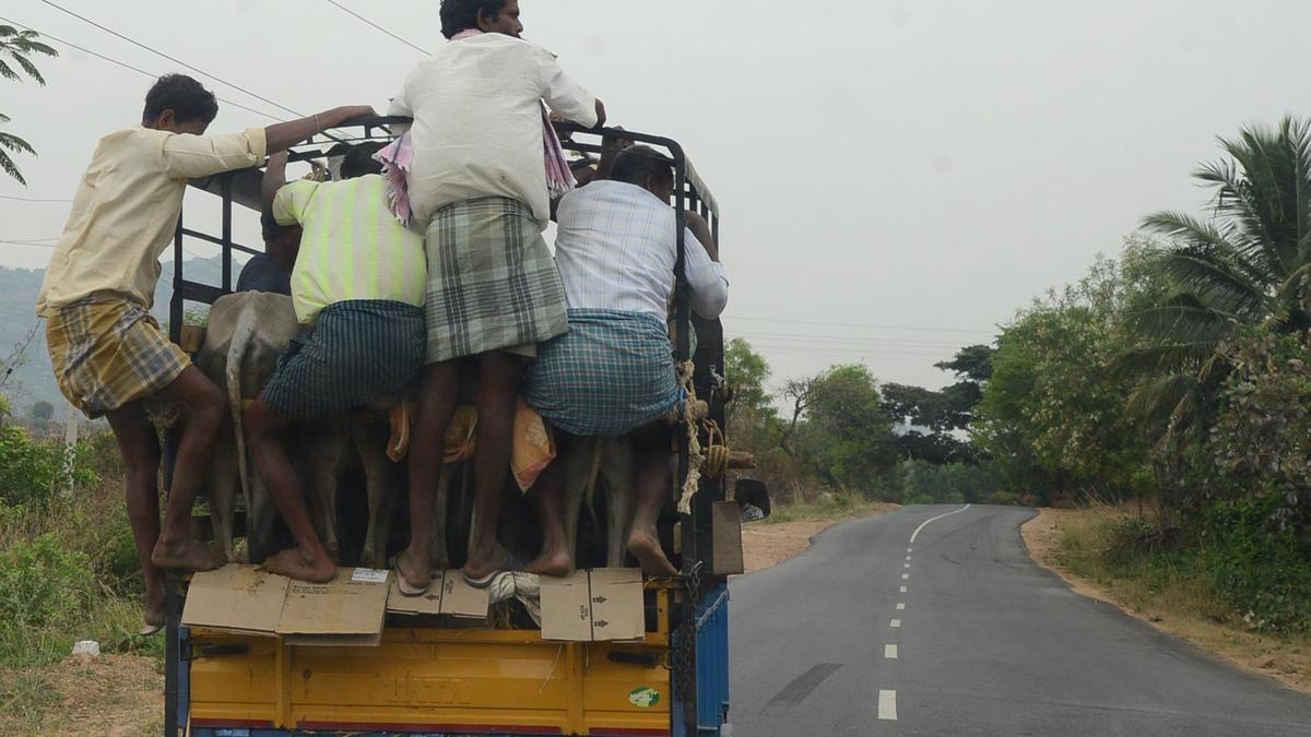 Govt hopeful of completing 7,110 km rural roads in next 1.5 years