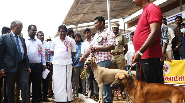 Native dog research centre to come up in Tenkasi: TANUVAS VC