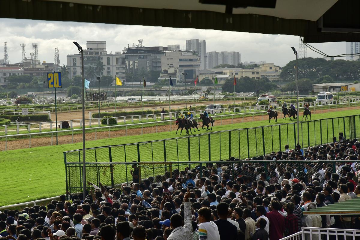 High Court to give verdict on June 22 on whether horse racing can be held at BTC