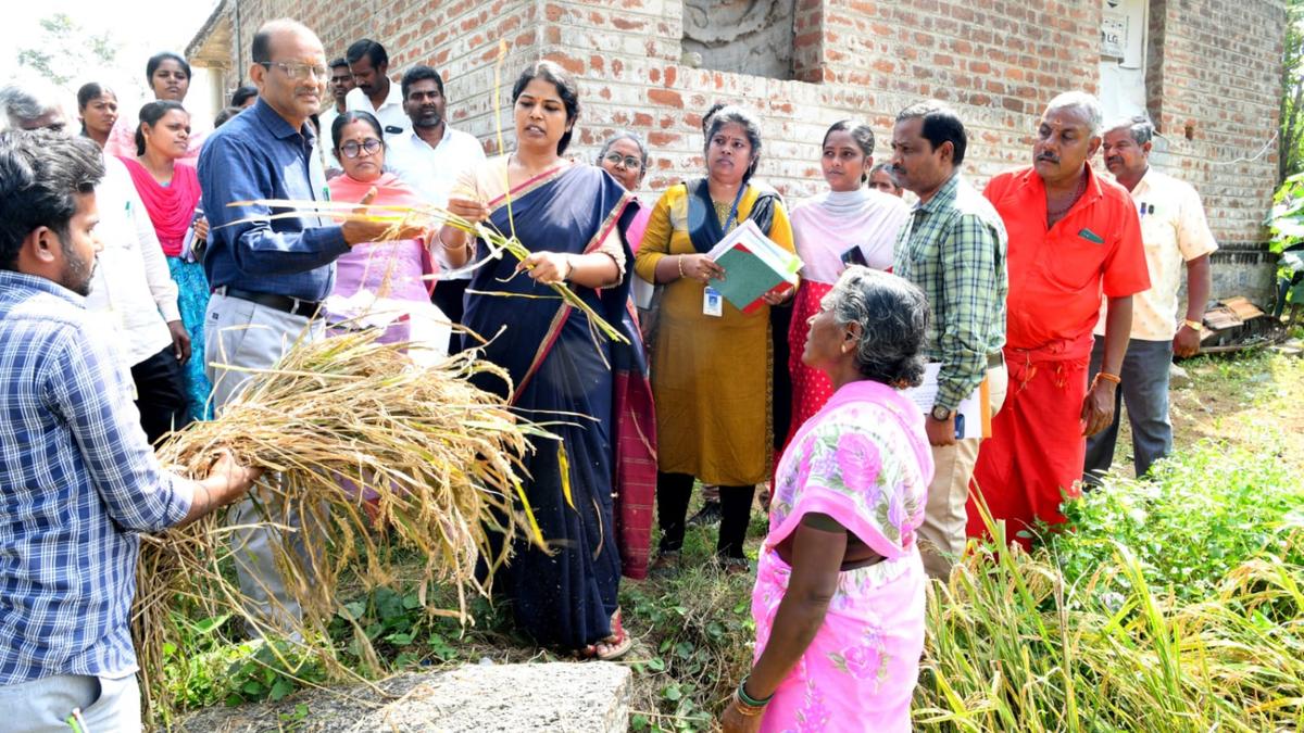 Monitoring Officer reviews cyclone loss documentation in Krishnagiri