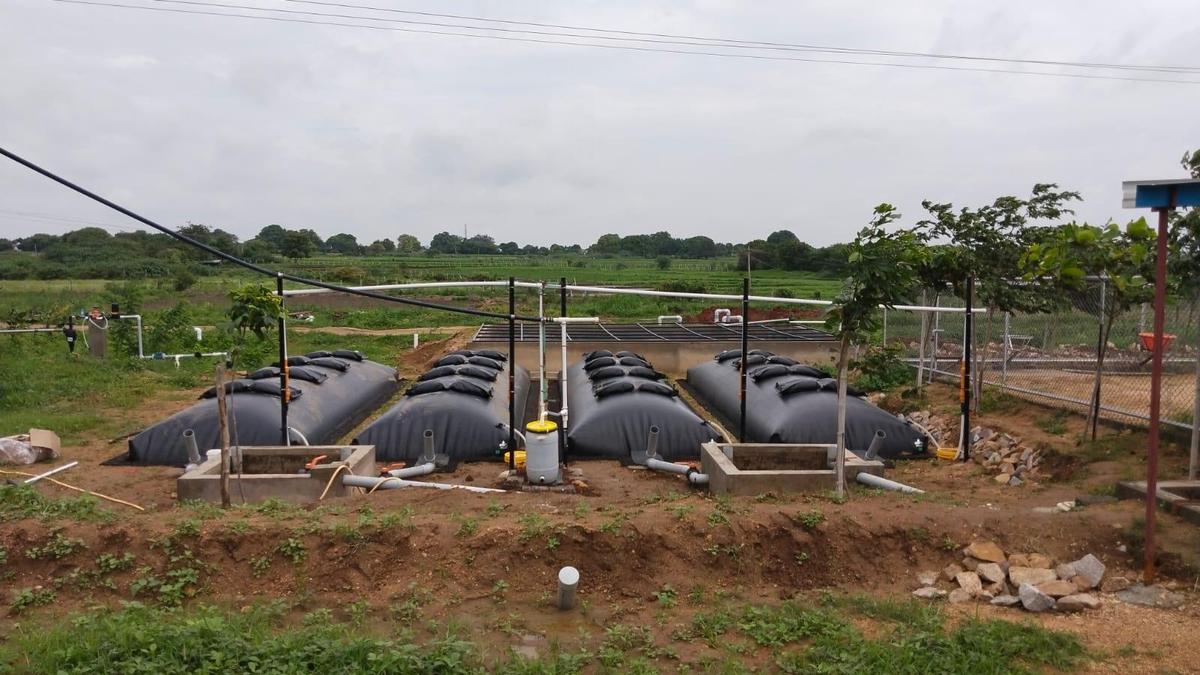 In Karnataka, dairy farming families with biogas plants remain untouched by LPG crisis