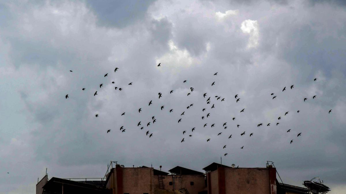 The emergence of new-age weathermen in Andhra Pradesh