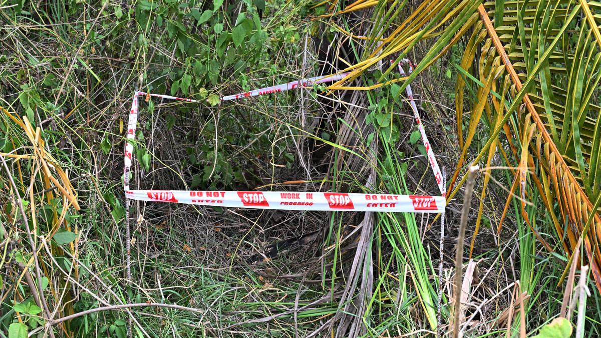 Sulur sexual assault-cum-murder case: witnesses identify main accused