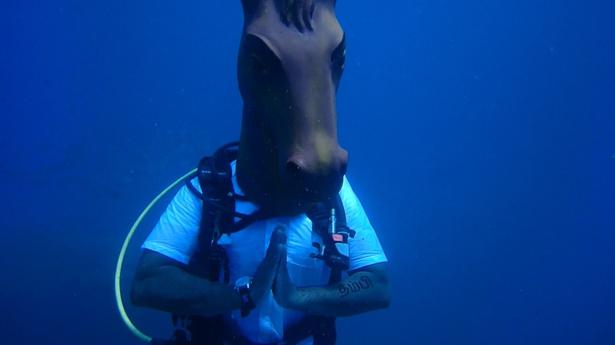 This team from Chennai played a game of chess in the sea, 60ft underwater. Here is what it looked like