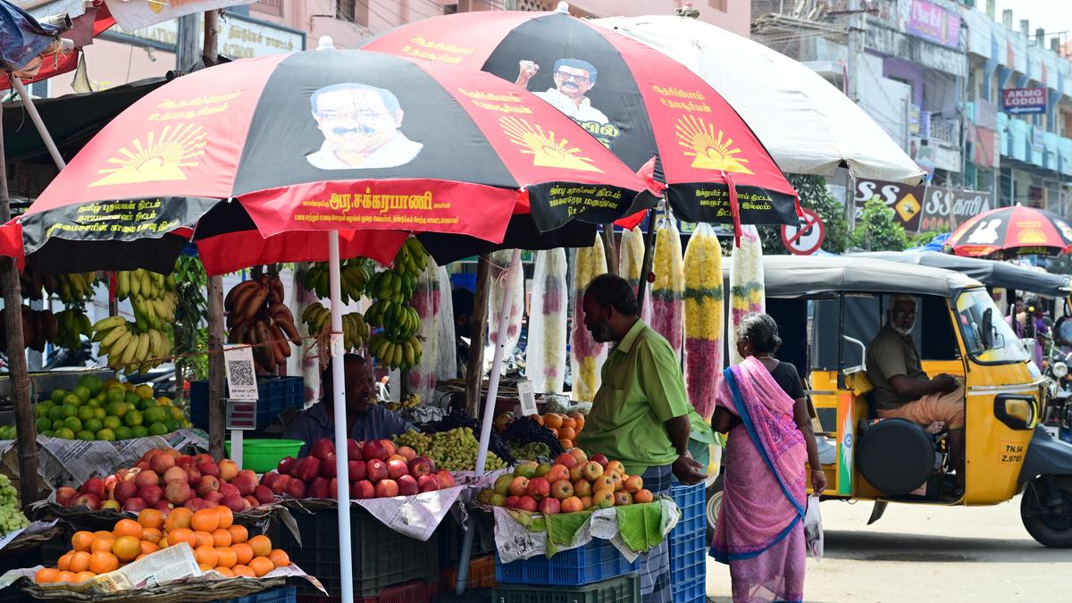 DMK cadres on a campaign mode