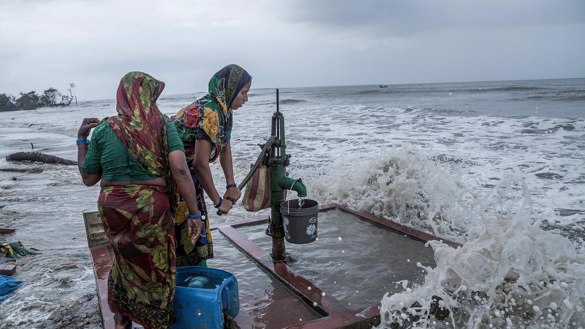 Sundarbans women battle climate change and health problems