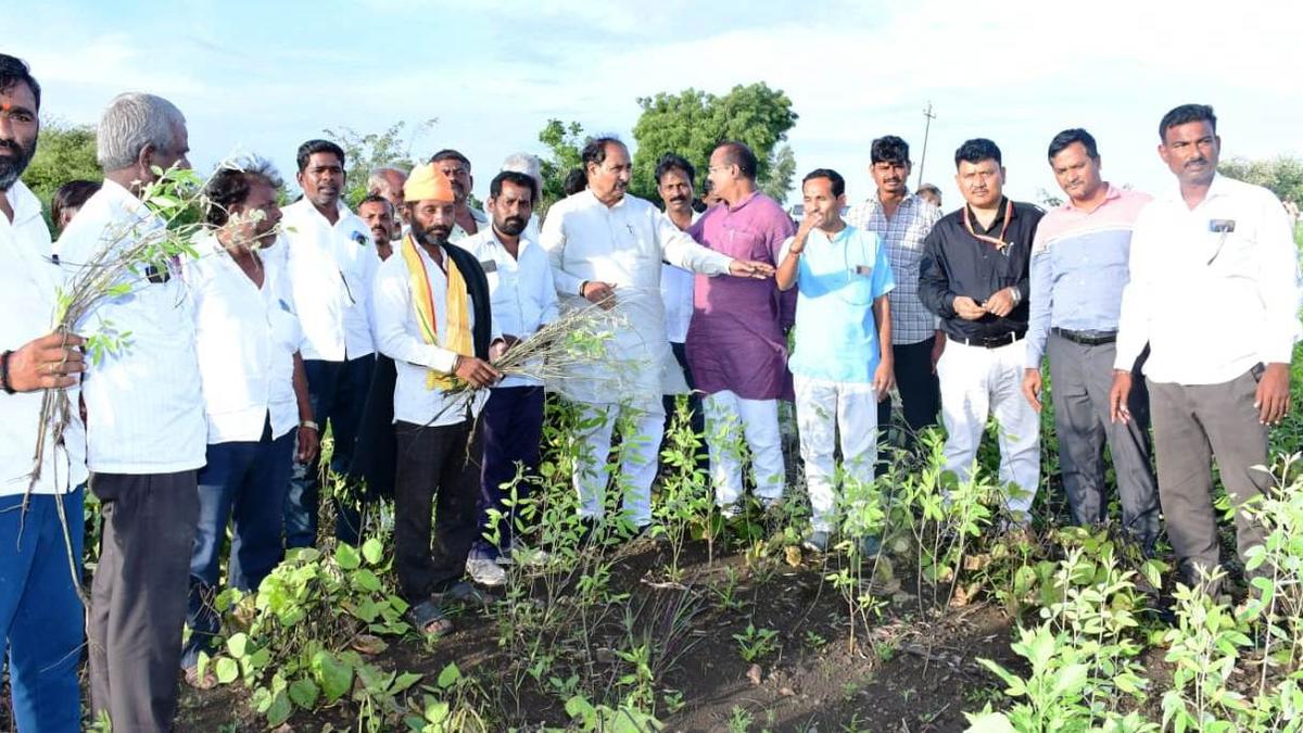 Kalaburagi MLA Allamprabhu Patil pledges support to farmers whose crops were destroyed in excessive rains