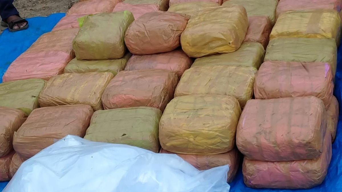 Top Tamil Nadu news developments today