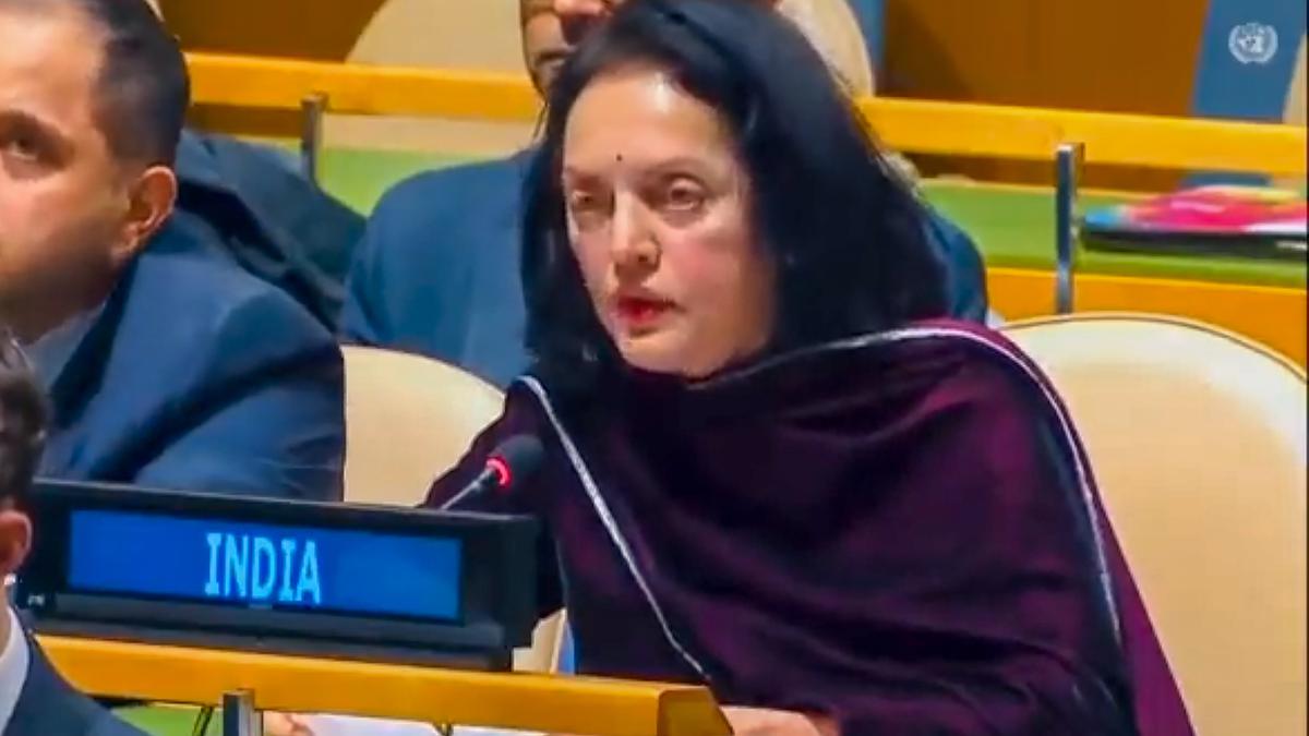 Violence against women, girls perpetrated by terrorists remains rampant: India at UNSC