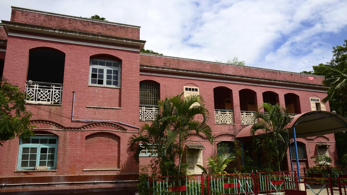 Education: Strong foundation, steady expansion, and some striking signals
Premium