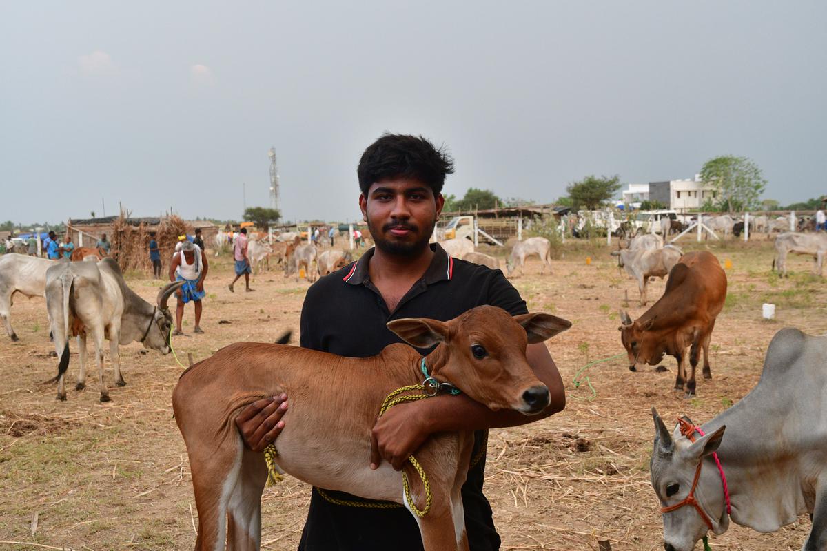 M Yogesh, 23, who is among the youngest cattlemen in the event