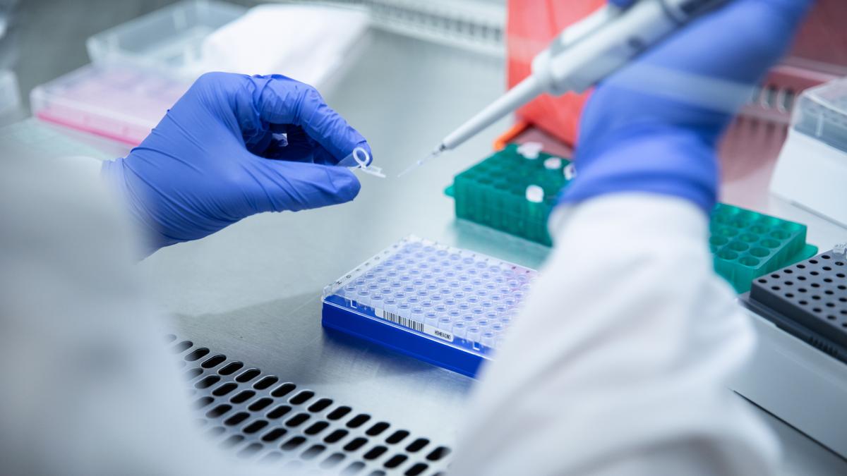 163 cases of newly emerging COVID-19 variant XFG detected in India: INSACOG 163 cases of newly emerging COVID-19 variant XFG detected in India: INSACOG