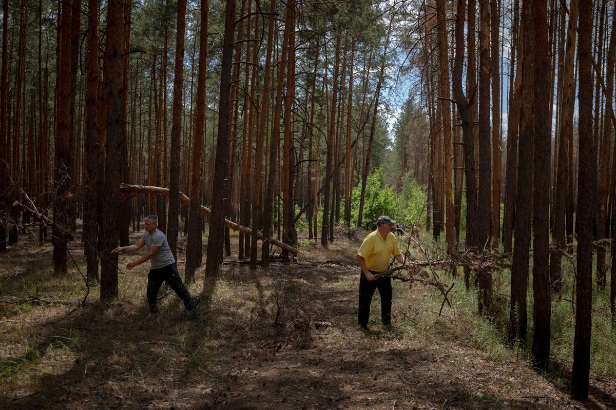 Oleksandr Polovynko (left), 39, a forest ranger, and his co-worker clear a path for demining vehicles to pass, at the Sviati Hory National Park, in the Donetsk Region, amid Russia’s attack on Ukraine, July 27, 2024. Tending to forests is now a perilous occupation, with mines and unexploded shells hidden in the ground posing the biggest threat. Polovynko nearly lost a foot after stepping on a mine while tending the forest last year. “I crawled back to the car, and drove home with one leg,” he recalled. It took him six months to return to work.         