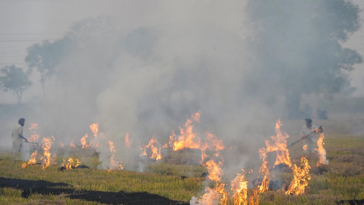 In SC spotlight, CAQM shows four-year statistics to argue dip in farm fires