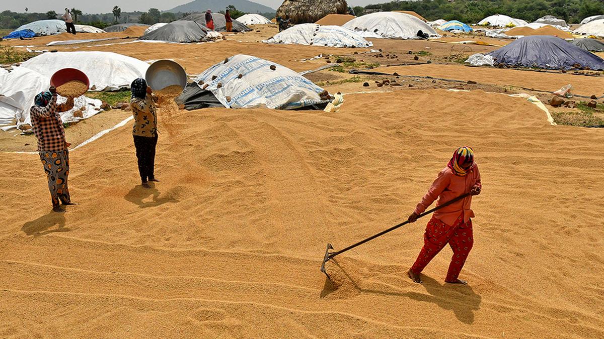 Govt says committee on MSP held 37 meetings, workshops so far