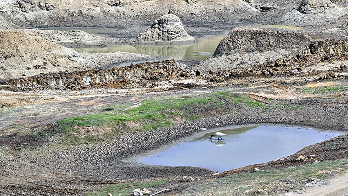 6 dead, 110 hospitalised due to suspected water contamination at temple fair in Tumakuru