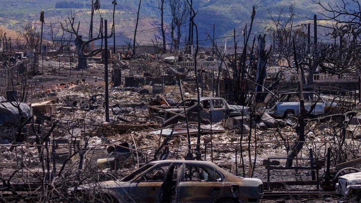 Biden to visit Maui wildfire disaster site, aid in hand