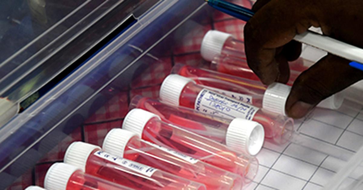 T.N. logs 12 new COVID-19 cases, 127 active cases