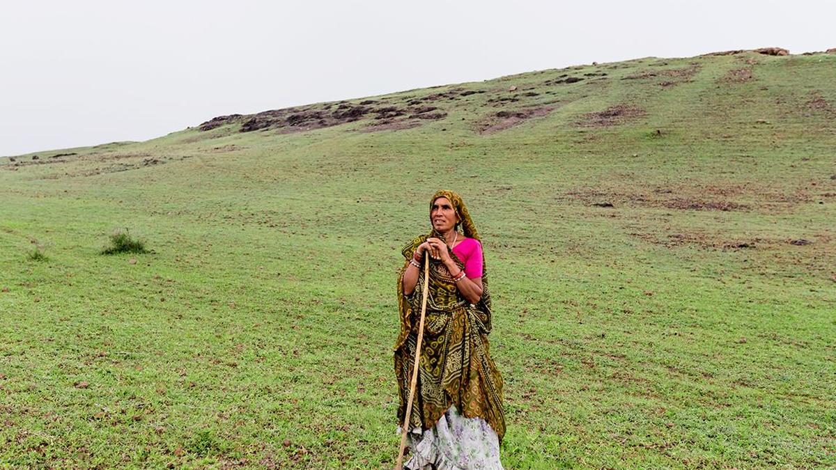 World Soil Day: Grassland soils, not trees, anchor India’s climate resilience
Premium