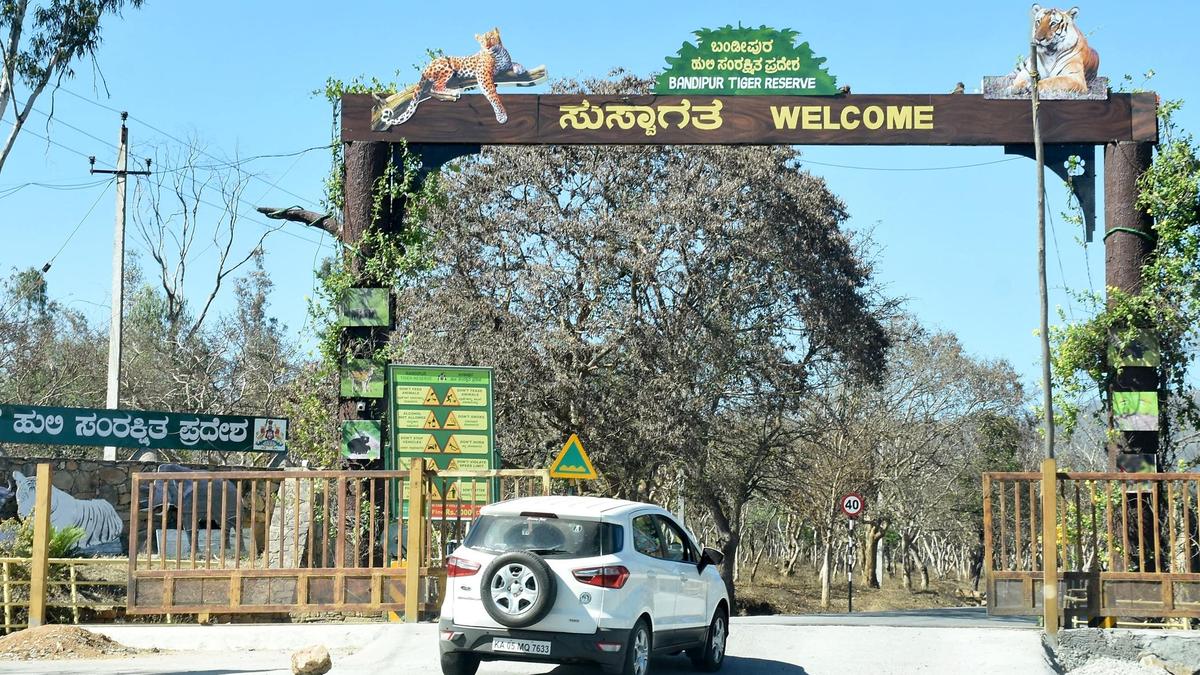 Pre-monsoon rains offer temporary reprieve from forest fires across south Karnataka