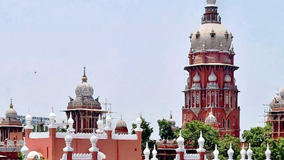 Segur plateau elephant corridor: Madras High Court refuses interim protection for resort owners