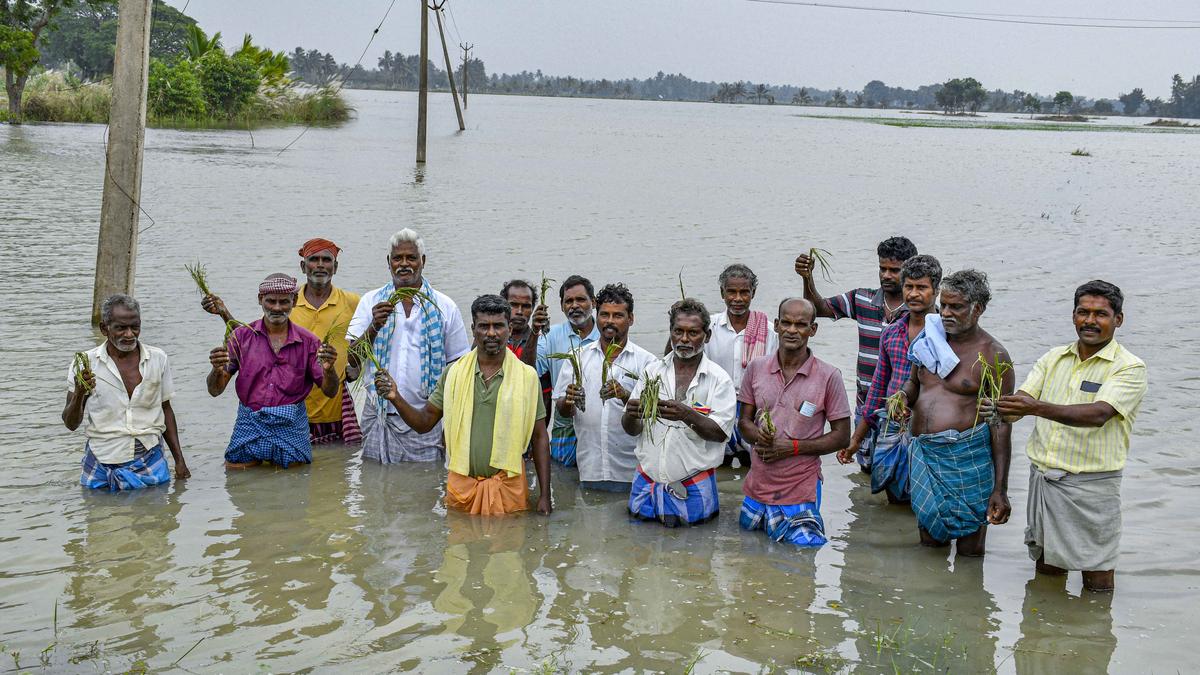 Crop submerged