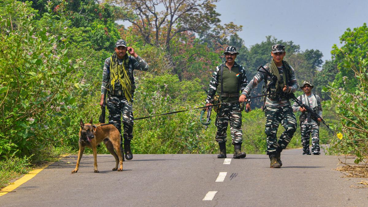 After Dantewada attack, roads being combed for IEDs in Chhattisgarh