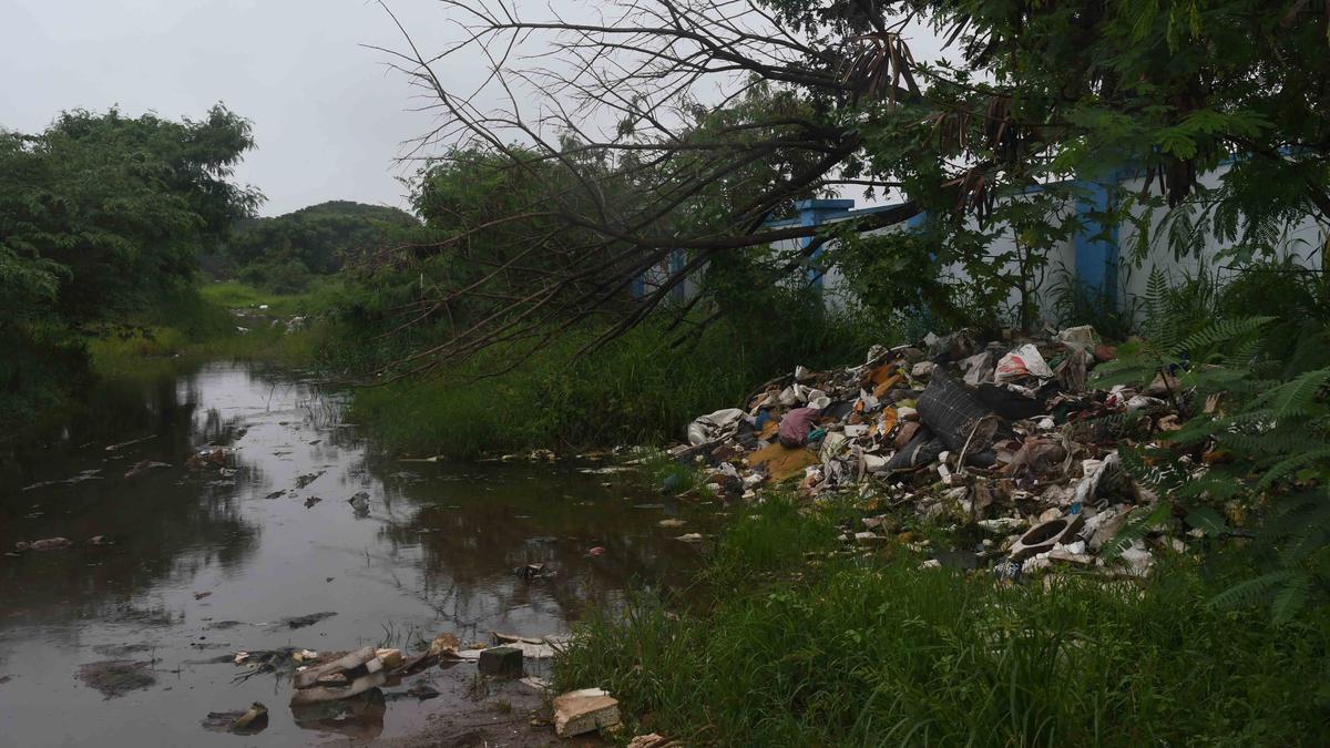 Cochin Port initiates steps to check waste dumping on its land