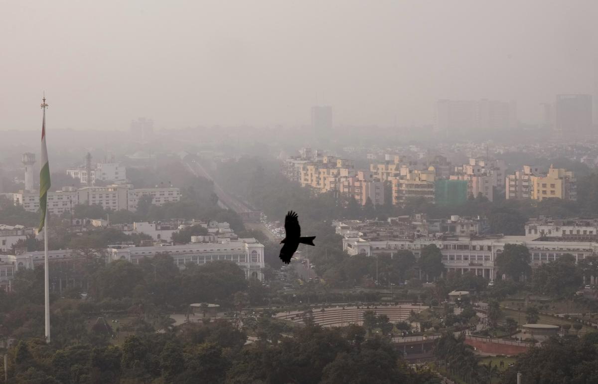 A bird flies amid a thick layer of smog in the sky as air pollution reaches its worst level this season in New Delhi.