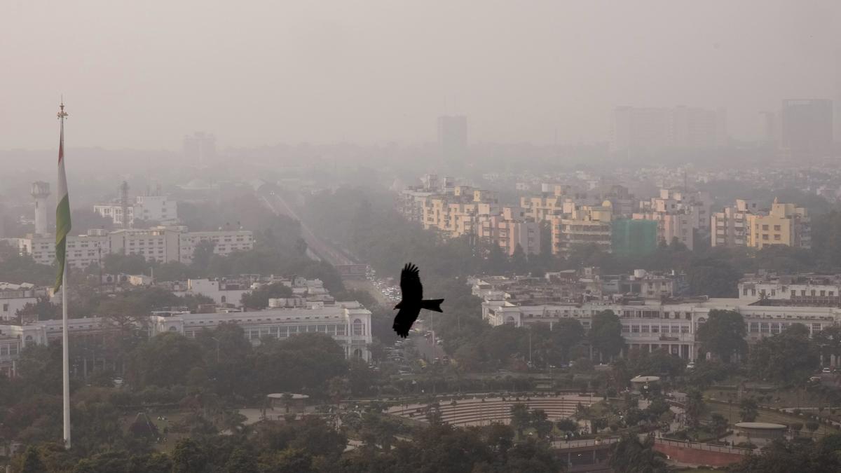 Clearing the air on Delhi’s pollution crisis