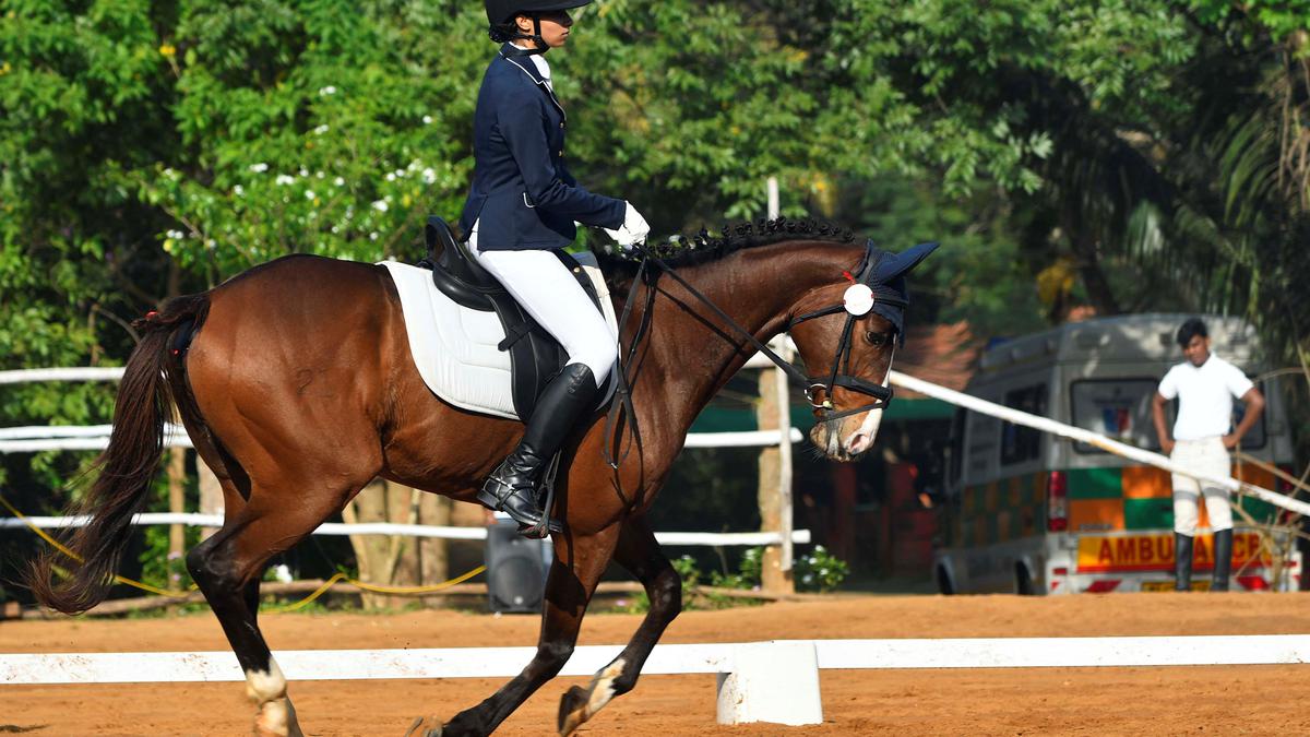 National equestrian championship under way in Auroville The Hindu