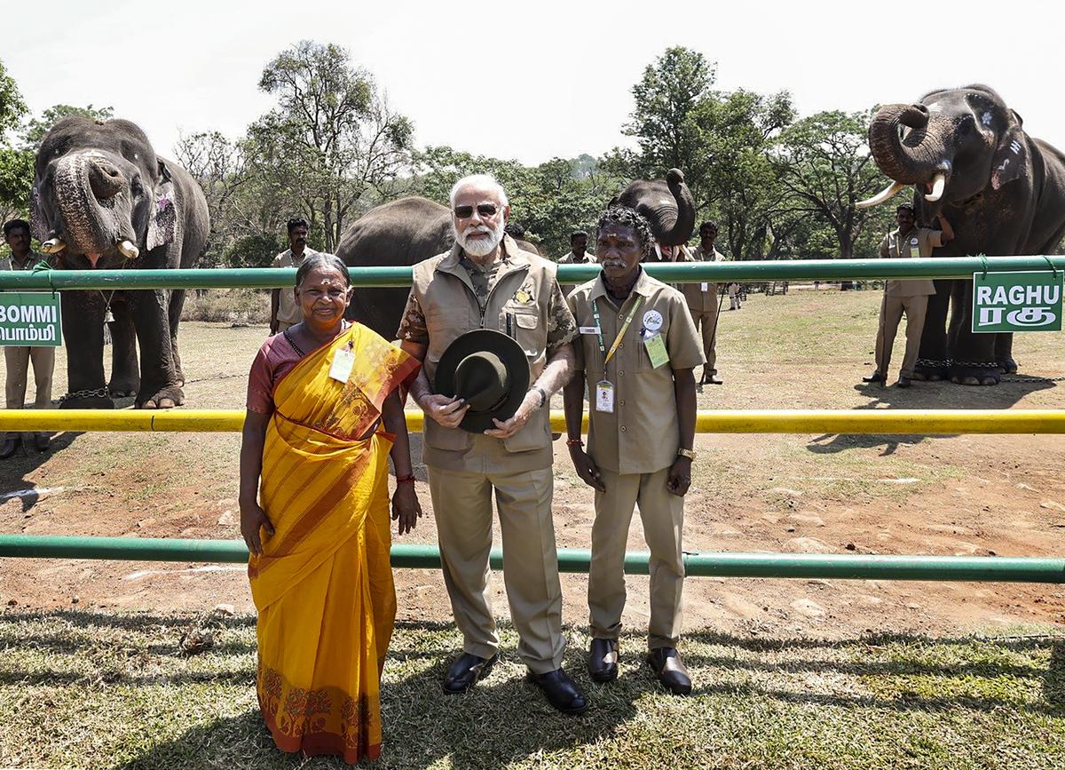 Prime Minister Narendra Modi with the tribal couple Bomman and Bellie at the Mudumalai Tiger Reserve on April 9, 2023. The tribal couple has devoted their life to caring for orphaned elephant calves, and was the inspiration behind the Oscars-winning documentary short film ‘The Elephant Whisperers’. 