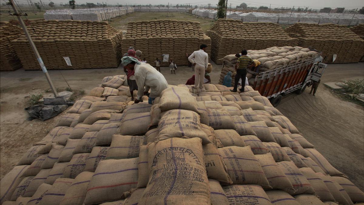 India’s ‘wheat waiver’ WTO demand is risk-fraught