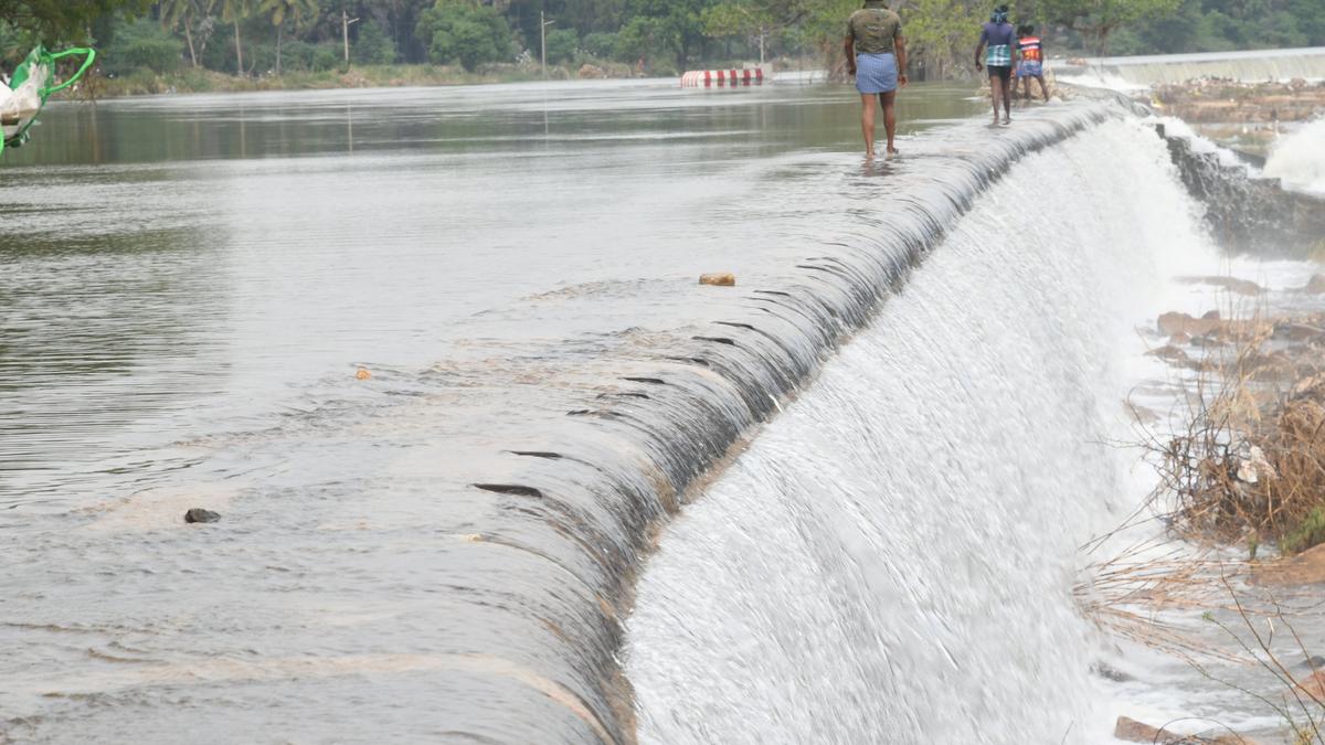 Villagers demand steps to prevent Tamirabharani floodwaters from entering five villages