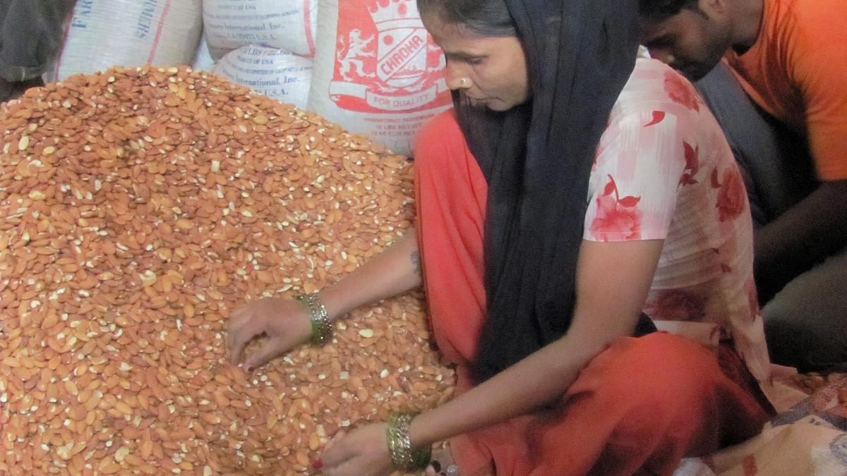 Delhi: Striking almond workers allege assault by factory owners