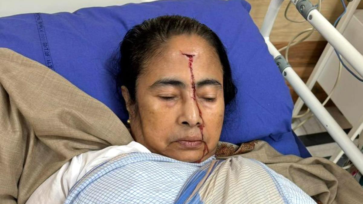 Mamata Banerjee suffers head injuries, admitted to hospital