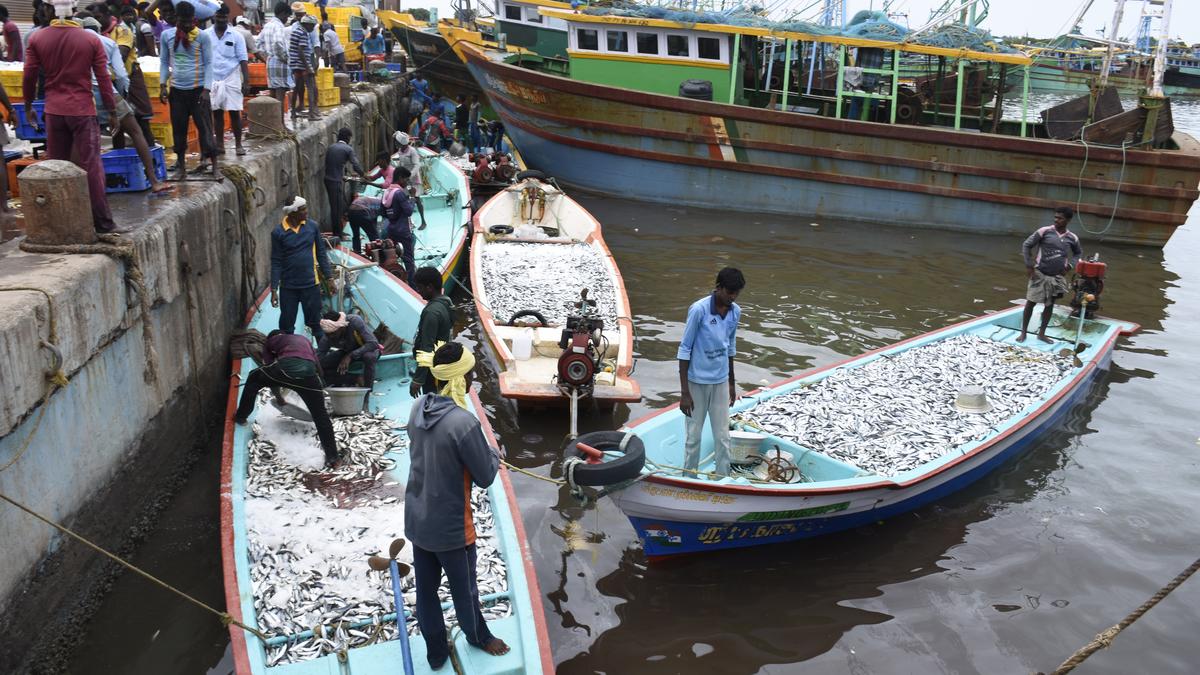 Sri Lankan Navy arrests 12 Karaikal and T.N. fishermen